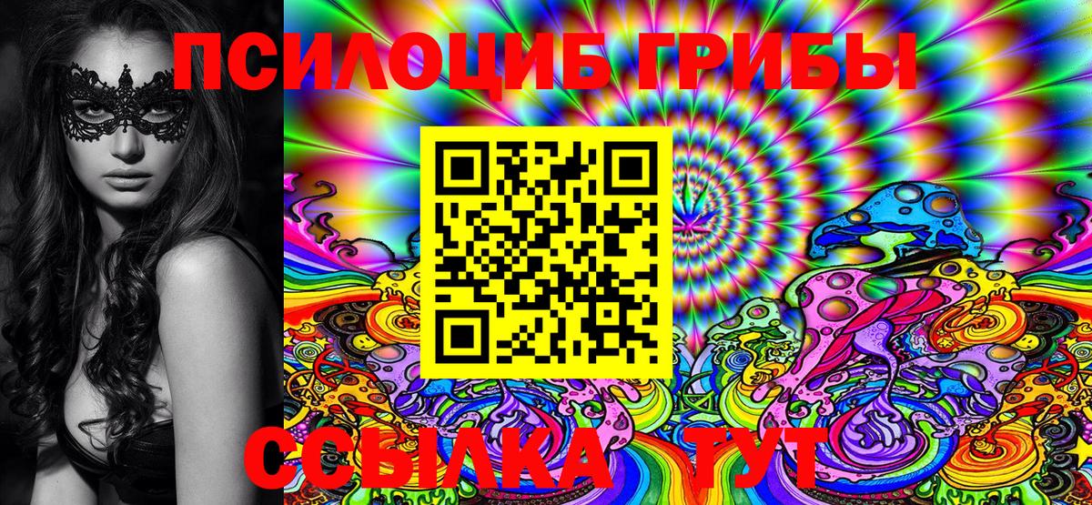 Псилоцибиновые грибы GOLDEN TEACHER  Галлюциногенные грибы GOLDEN TEACHER  Вход с VPN  Тара 