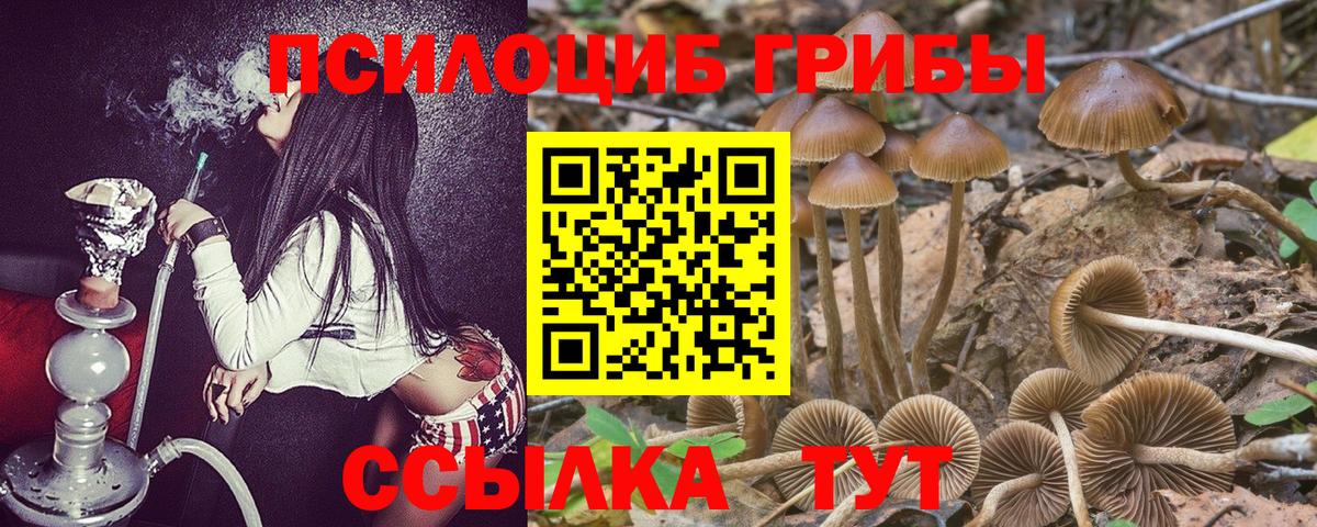 Галлюциногенные грибы мицелий Тара